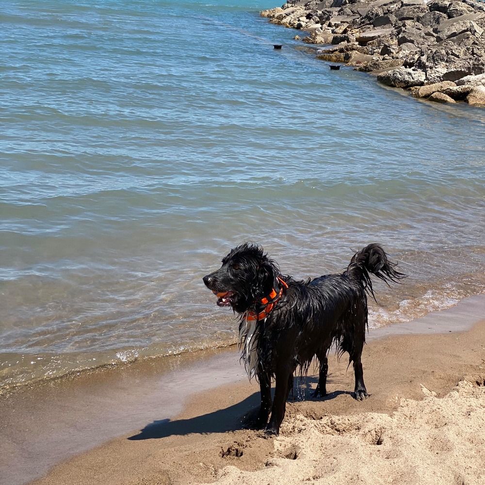 Meet your Posher, Siobhan